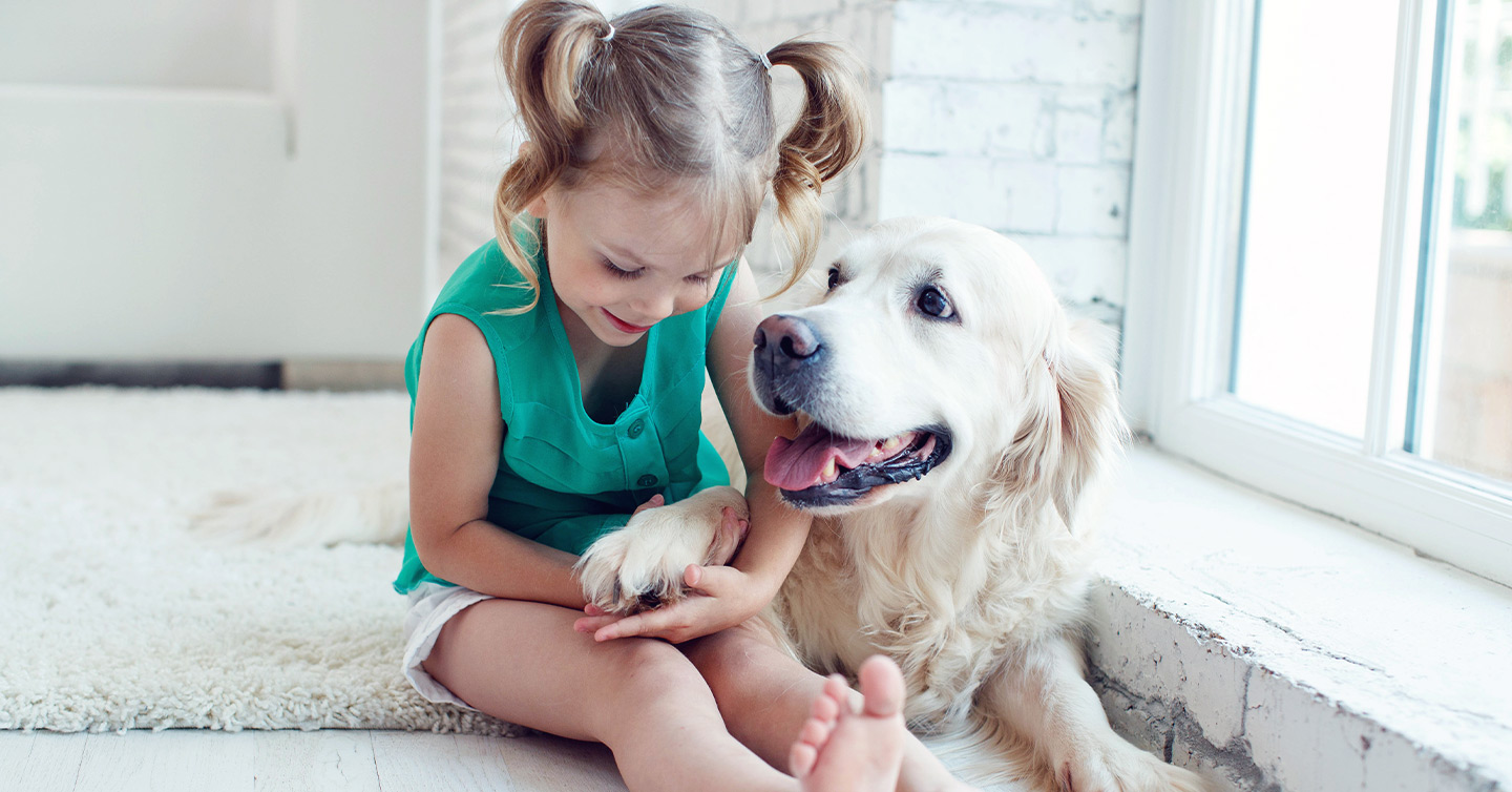 How To Choose The Best Dog For Your Kids Cesars Way