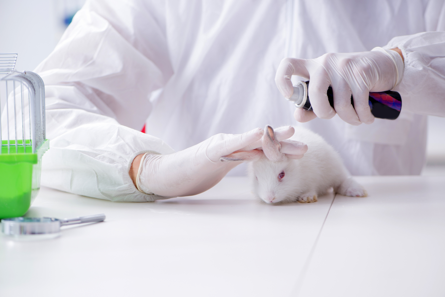 The Importance of Laboratory Animals in Science