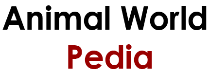 Animal-World-Pedia-logo-main