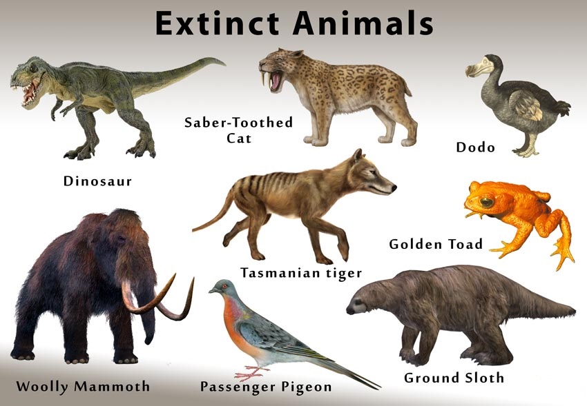 Extinct Animals List: Discover Species No Longer with Us