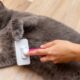 Cat Grooming Tips: Best Practices for a Healthy Feline Coat