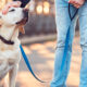 Pet Care Tips and Advice - Comprehensive Guide for Pet Owners