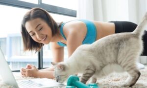 Cat Training Tips: A Guide to Training Your Feline Friend