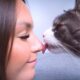 Why Does My Cat Bite Me Then Lick Me? - Understanding Feline Behavior